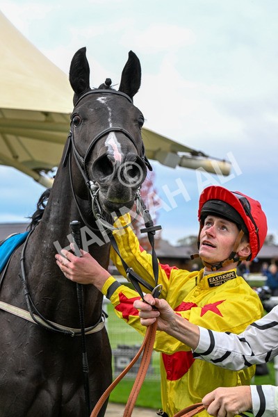 101025-Race 5-Go Vince Go-0445 - Race 5 Parsonage Hotel And Cloisters Spa Nursery Handicap at York