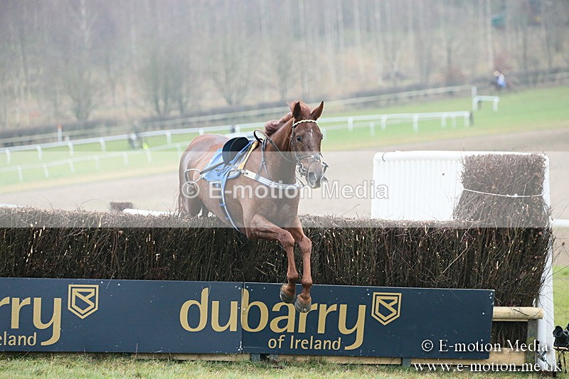 PtP 251118-171 - Vine & Craven Point-to Point Barbury Racecourse 25/11/18