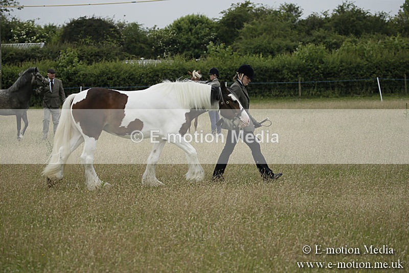 B230619-0071 - Bourne Valley Riding Club Summer Show 23/06/19