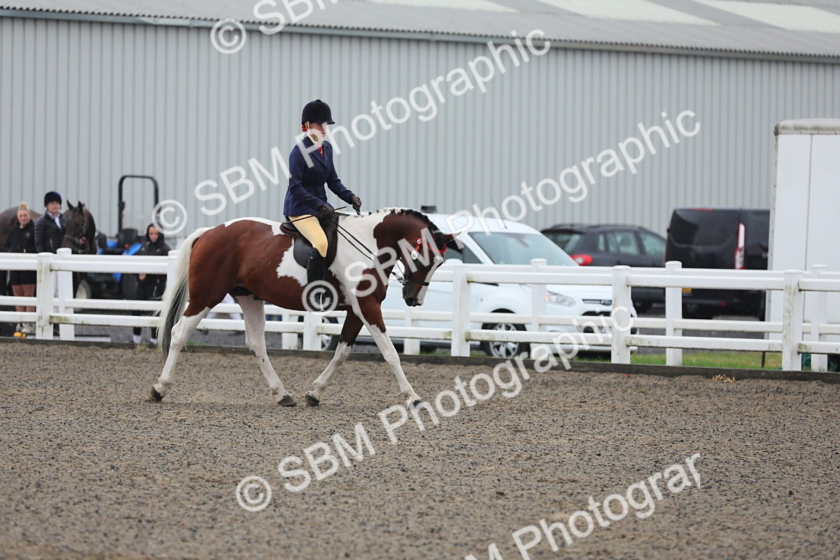 SBM_19897 - Class 801 - Ridden Veteran