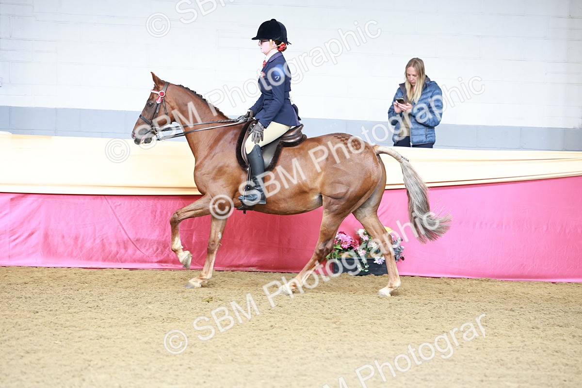SBM_11939 - Class 102 - Equitation (Best Rider) Adult