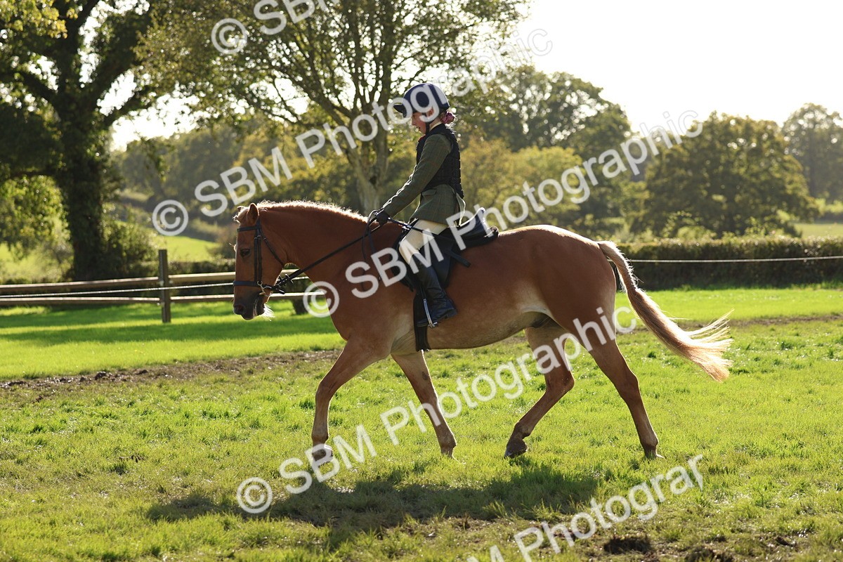 SBM_52448 - S13 - Pony Club Pony