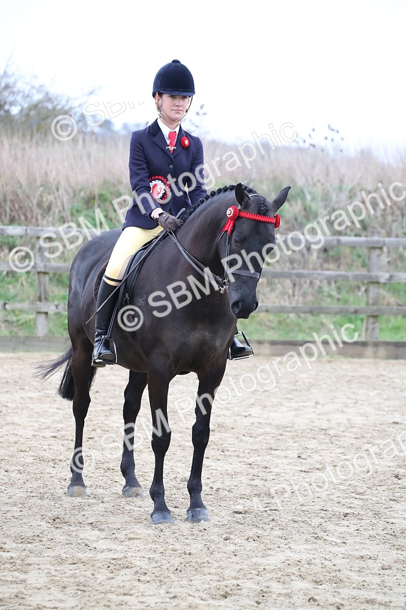 SBM_004798 - Class 5-9 - NPS In Hand-Show Hunter-Intermediate Ridden Inc Ridden Championship