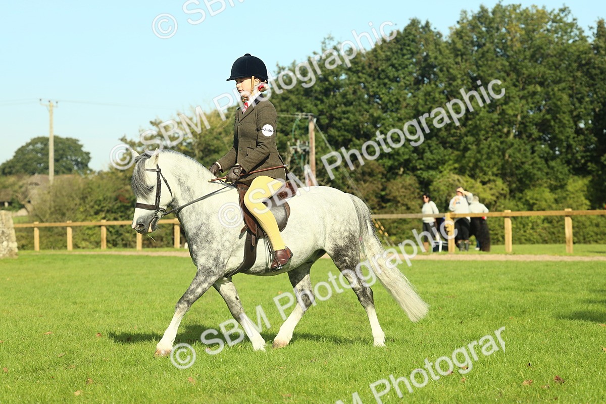 SBM_59887 - S38 - Starters Ridden Showing