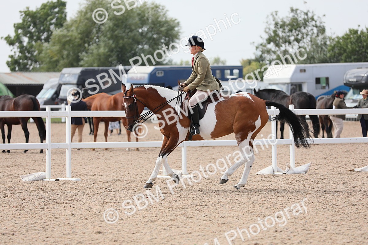 SBM_13424 - Class 308 Ridden Coloured Horse