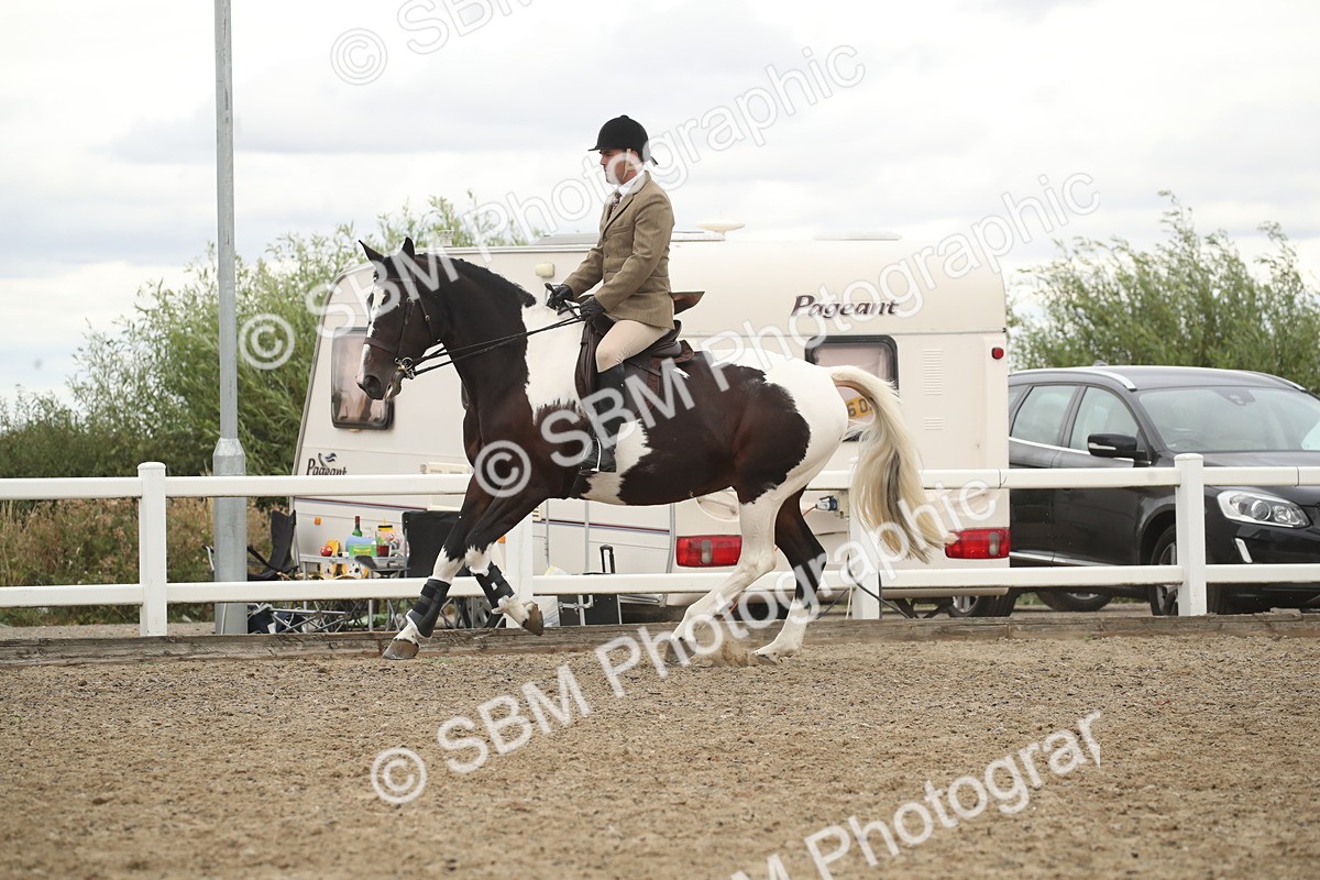 SBM_18281 - Class 509a - Working Veteran - 80cm (15-19)