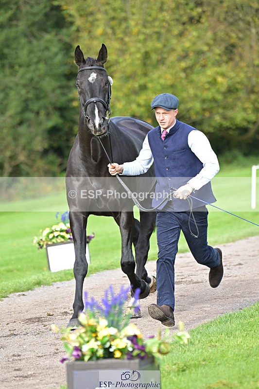 241023-132805-00310 - 058-Jack.Ashworth-TIMEPEICE.BLUE