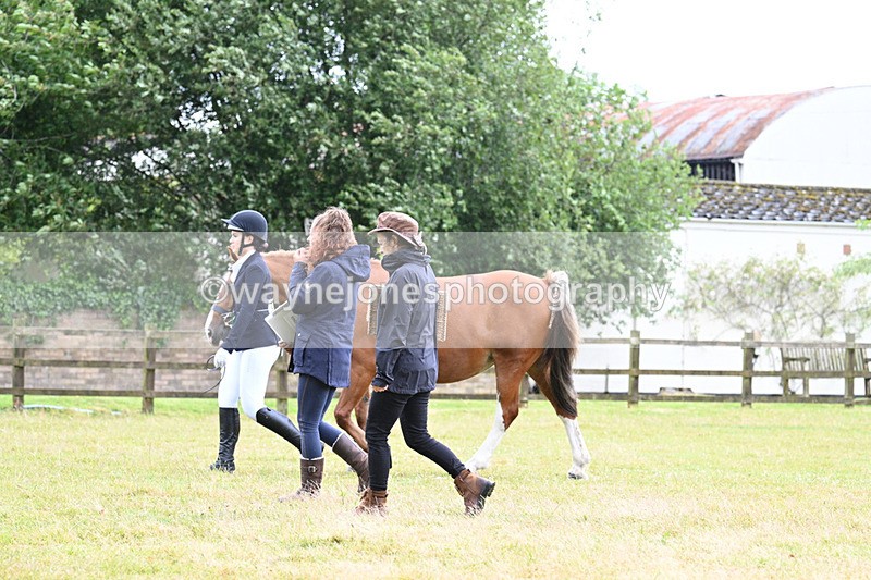 WJ7_6448 - Class 4a Prettiest Mare over 14hh
