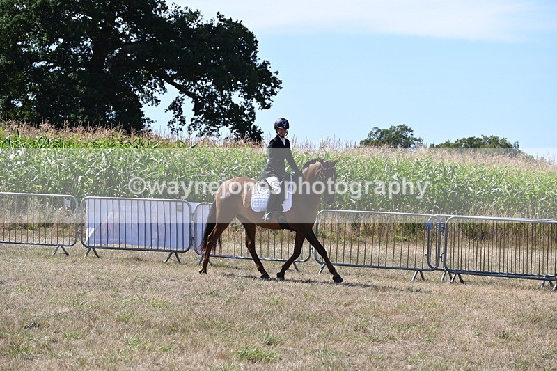 WJ6_8883 - Class 38 Ridden Riding Horse/Pony
