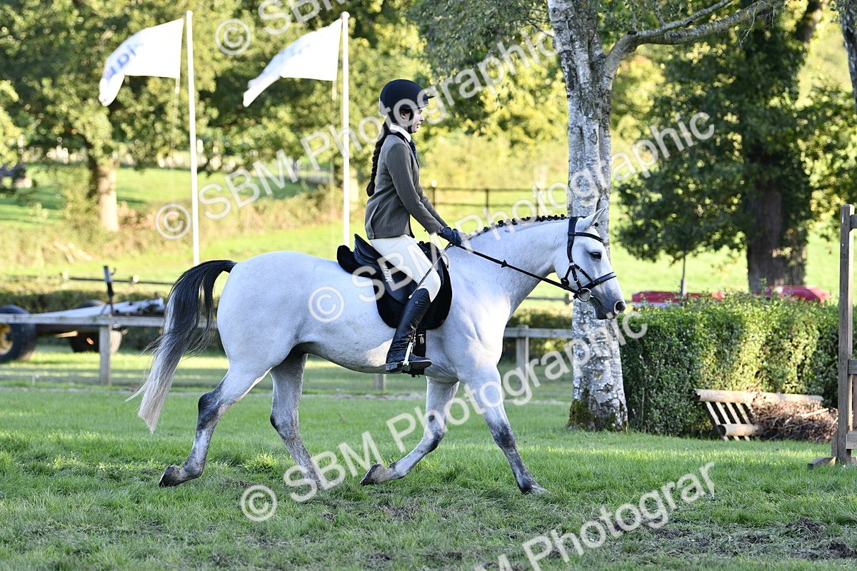 SBM_53591 - S14 - Riding Club Horse