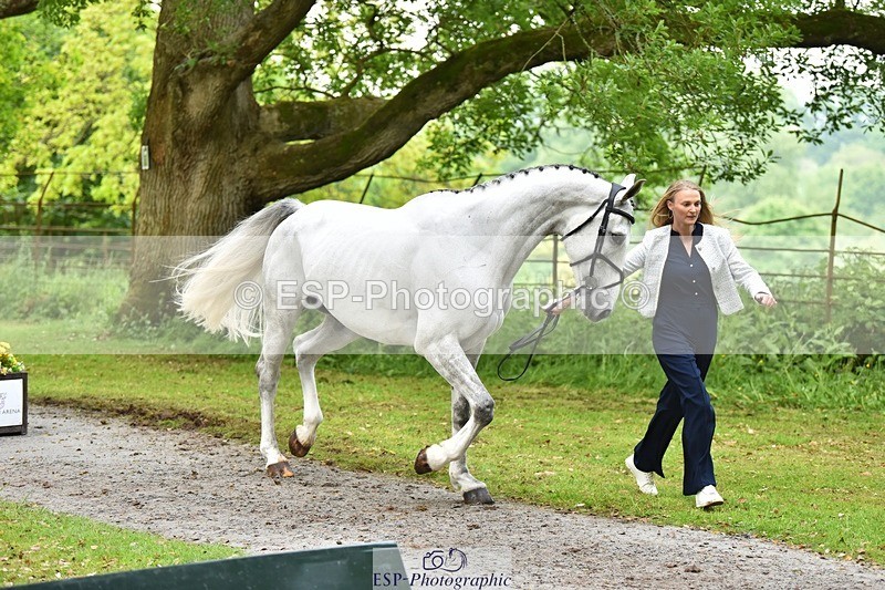 240522-172526-01600 - 286-ZIROCCO_VAN_DE_EIJKHOF_Z-Megan_Sanders