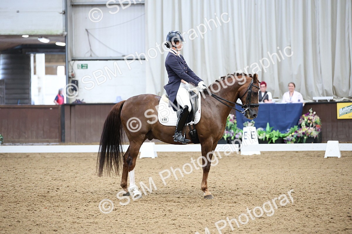 SBM_004835 - Class 9 - FEI Inter 1 Gold - 16.59-17.47