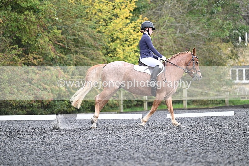 WJ7_3728 - Time 11:04 to 11:38