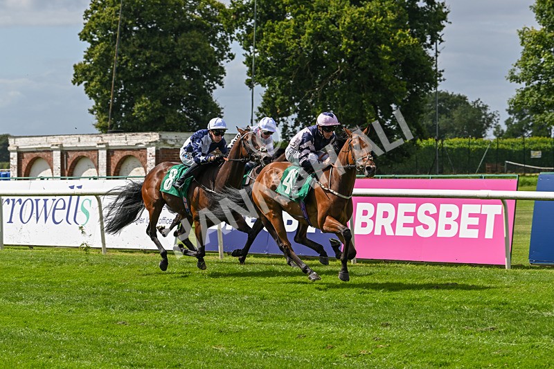 030824-Race 2-Barefoot Warrior-1519 - Race 2