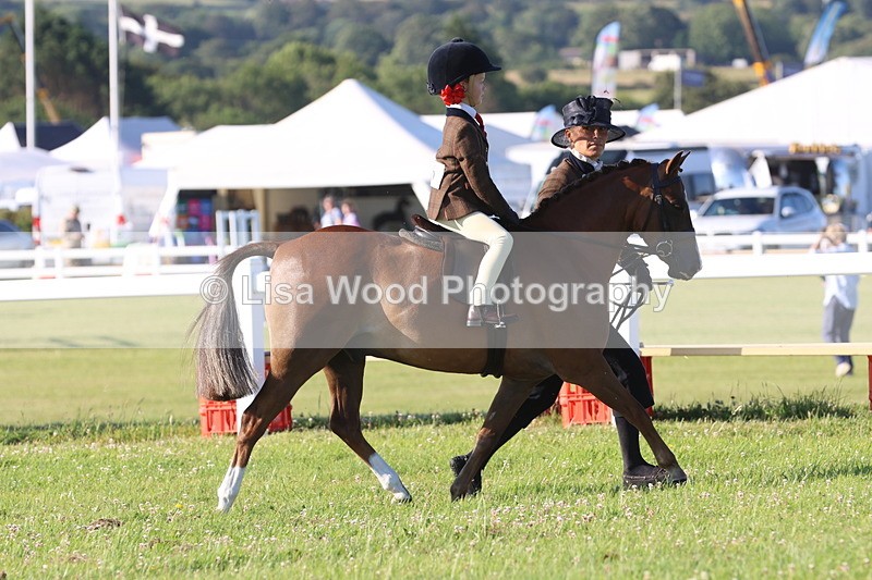 JPP_0710 - Class 16: Cornish Combination Leading Rein