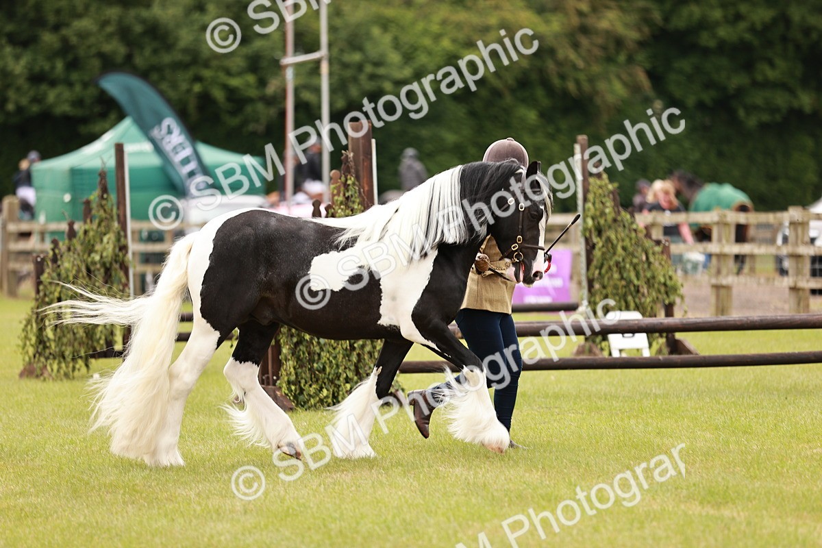 SBM_04590 - Class 5-8 - BSPA In hand