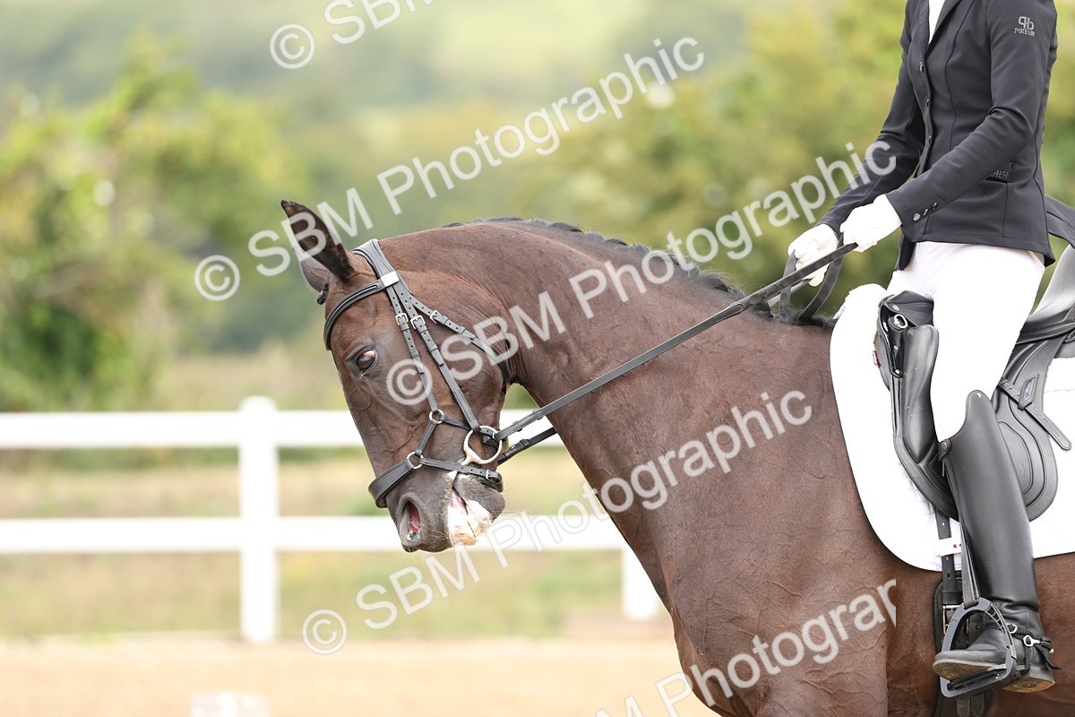 SBM_006334 - Class 6 - novice 6 - 11.50-12.46