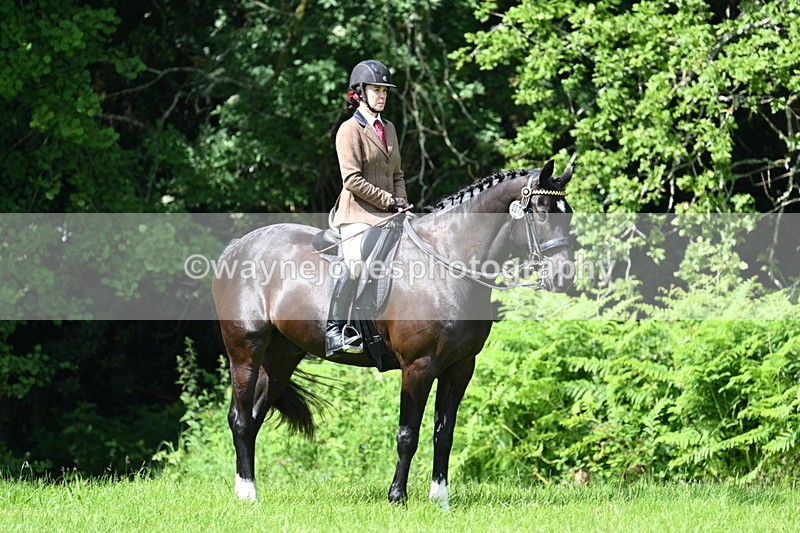 WJ7_1245 - Class 11 Condition & Turnout