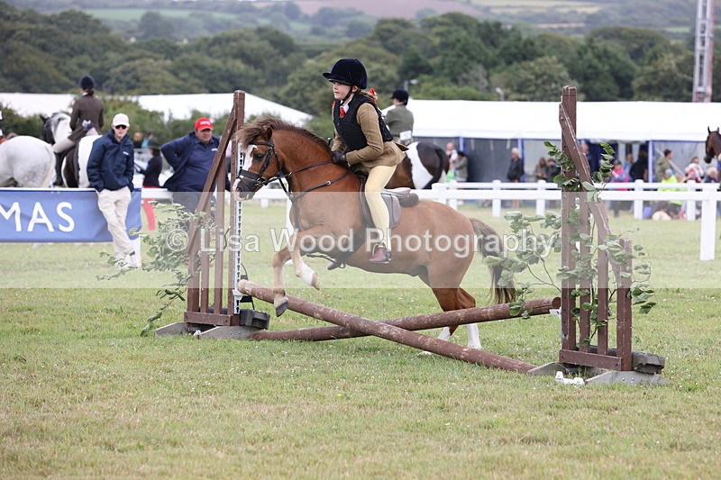 JPP_1747 - Class 18: Tiny Tots Working Hunter Pony