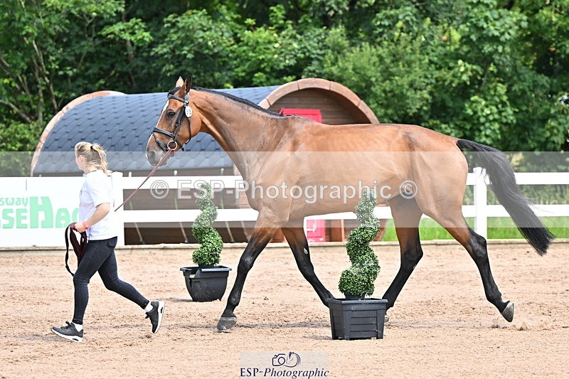 240718A-105247-01156 - Trot Up 12pm to 1pm