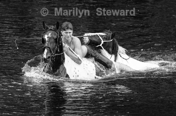 Multi-tasking - Exhibition acceptances