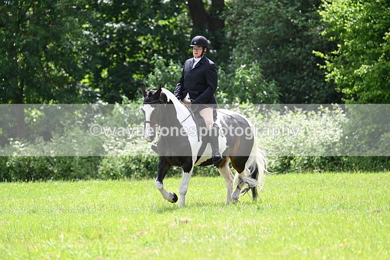 WJ7_2633 - Class 12A Coloured Class
