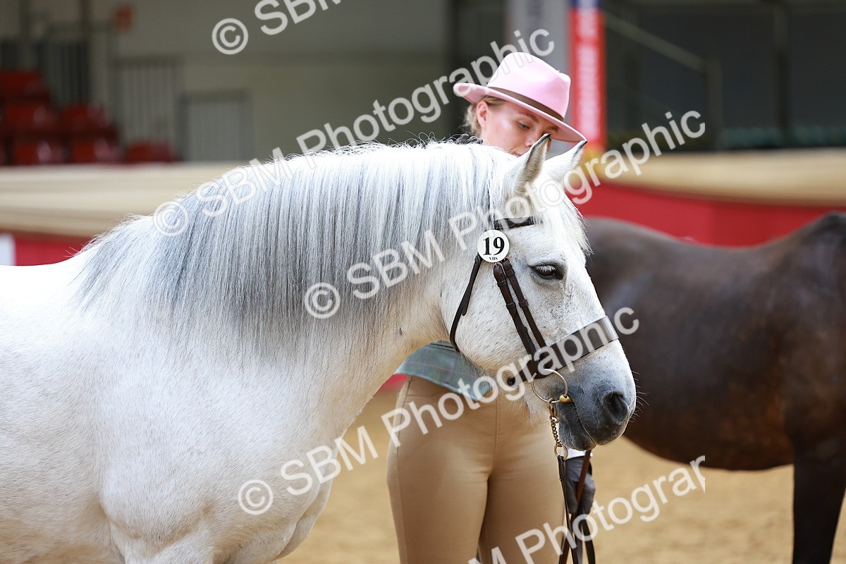 SBM_04156 - Class 9R - IH Pre-Vet
