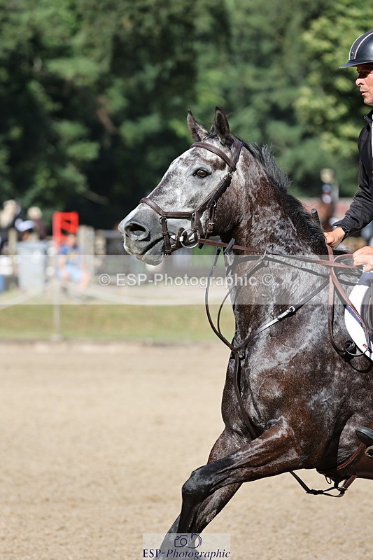 250703A-091103-00245 - Cls 5 85cm Amateur Qualifier