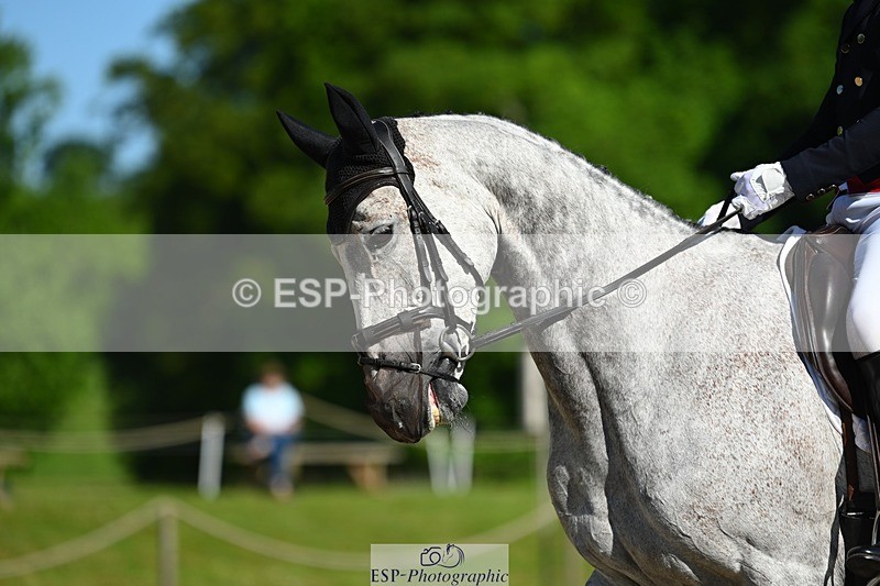 230526-092016-05427 - 454-COOLEY_ROSALENT-Oliver_Townend-DR