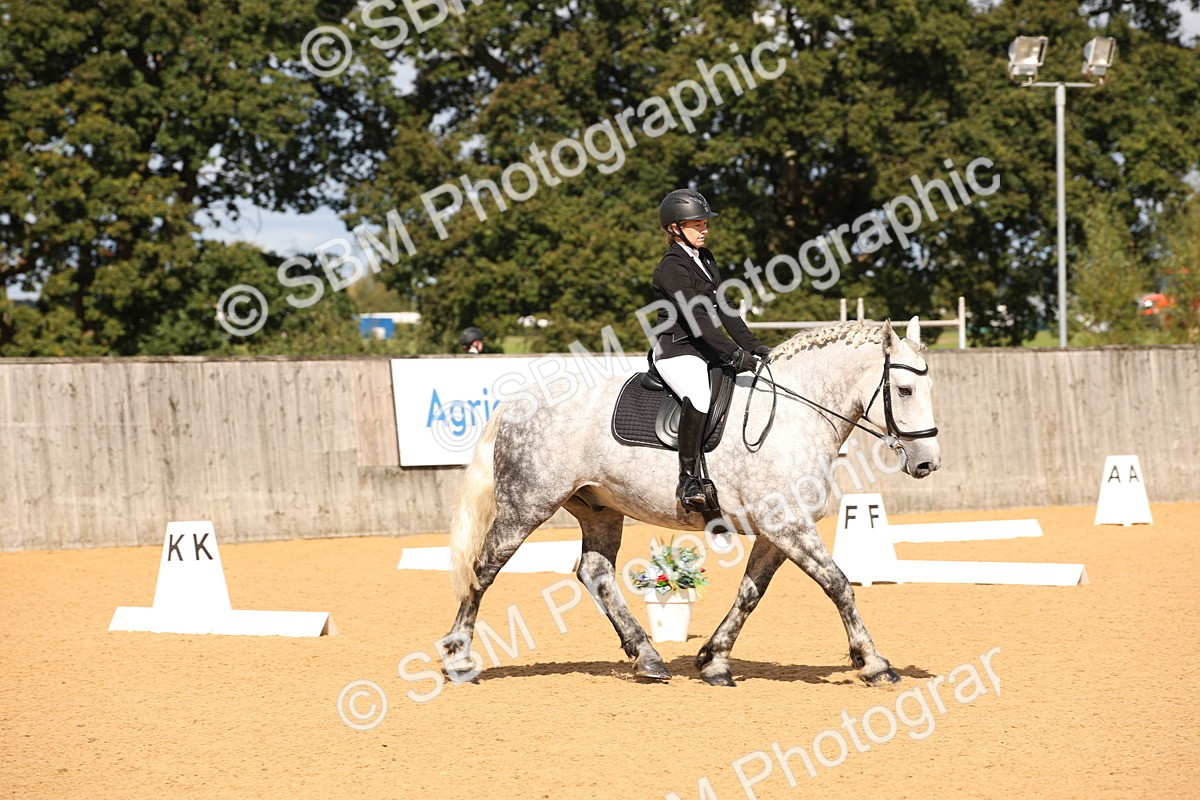 SBM_04289 - D2 Small Tour Championship Intro C