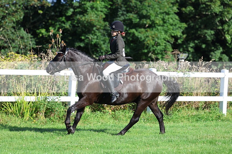 3E7A7603 - Class 1: Novice Working Hunter Pony