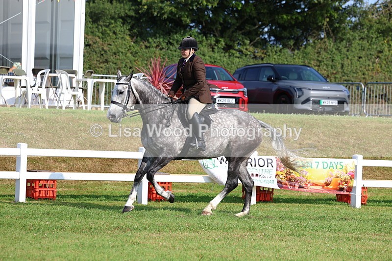 3E7A8617 - Class 3: Rising Star S/L Hunter