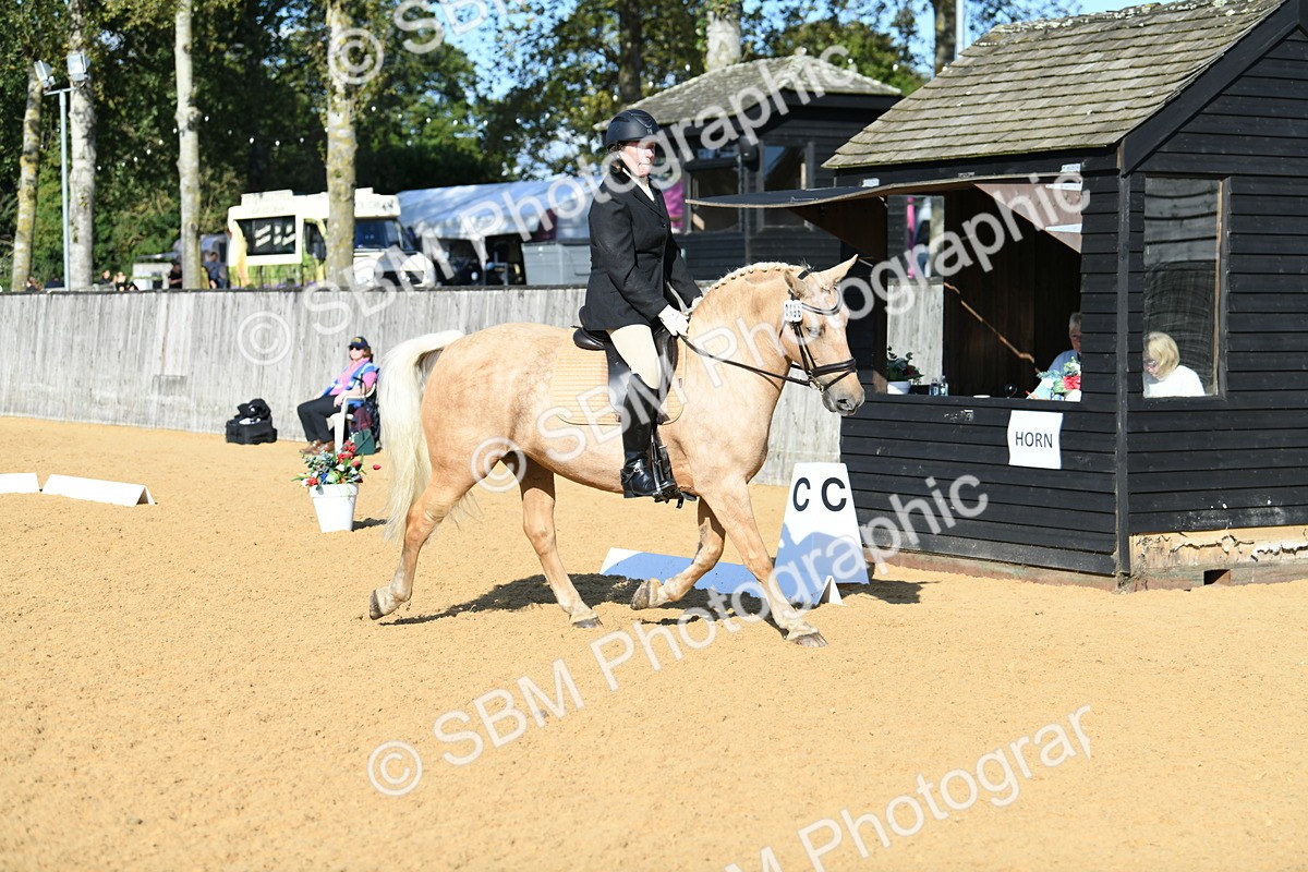 SBM_27242 - D16 - Small Tour Championship - Novice 28