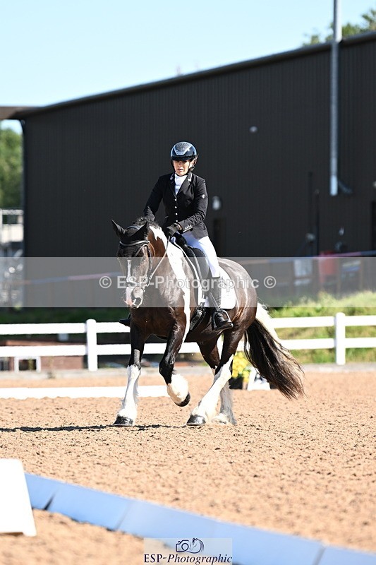 240816A-101844-03802 - 148-Donna.Willis-Cerrighedd.Yago