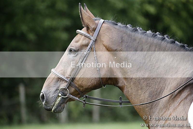 BVR090918 168 - BVRC Dressage and Show Jumping 09/09/18