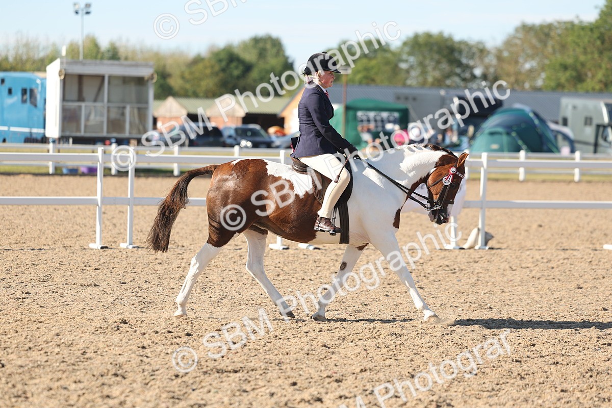 SBM_12337 - Class 304 - Ridden part Bred Horse Pony