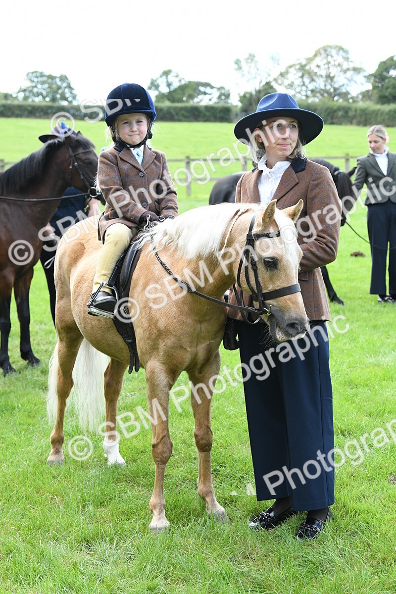 SBM_42562 - S20 - Lead Rein Mountain & Moorland Pony