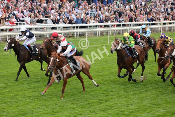 yr18082021r6-12 - Race 6 4.45pm IRE-Incentive It Pays To Buy Irish Stakes