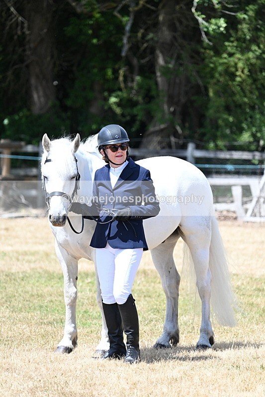 WJ7_2396 - Class 5a Most Handsome Gelding in hand (above 14.2hh)