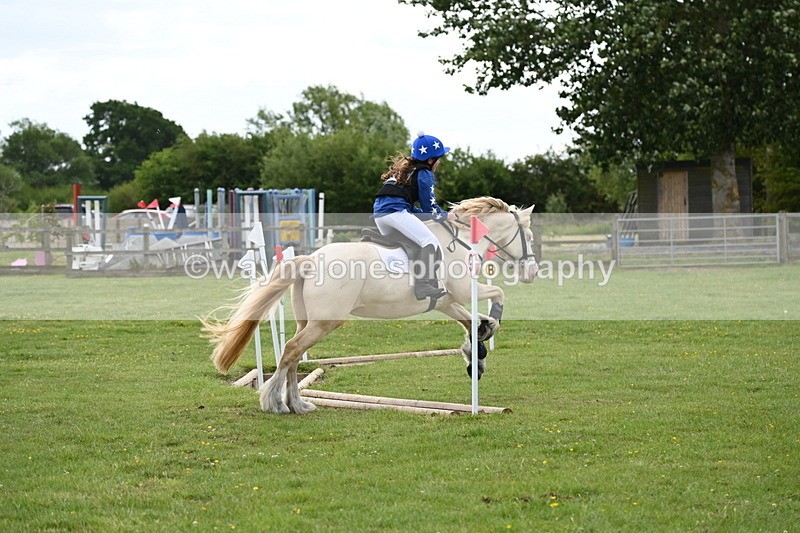 WJ6_2671 - Class 2 40cm