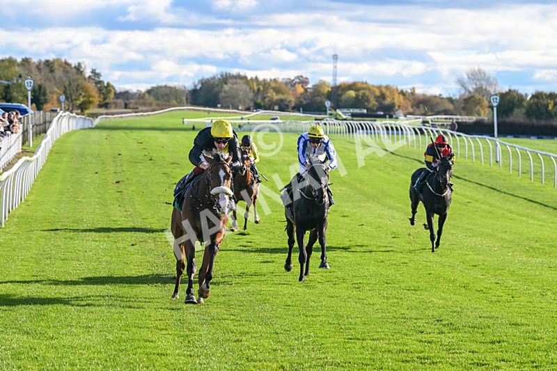 291024-Race 1-Hi Lord-5661 - Race 1