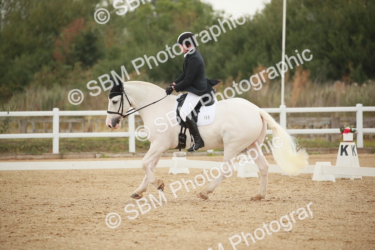 SBM_003460 - Class 2 - Prelim 6 - 10.11.10