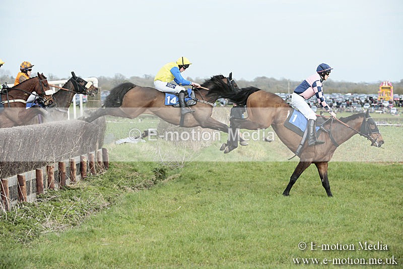 PtP 230319 298 - VWH Hunt Siddington Point-to-Point Racing 23/03/19