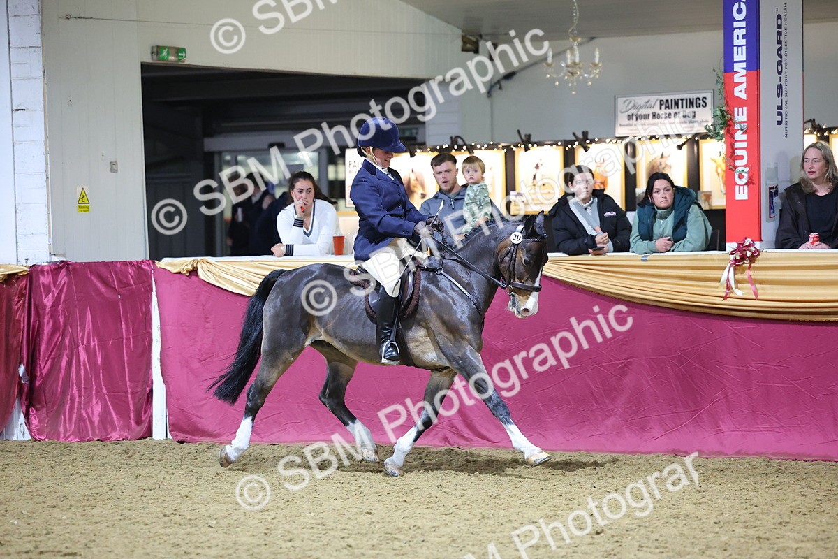 0B8A4685 - Class R Working Veteran Champ