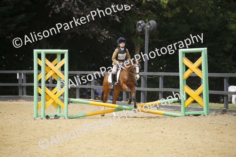 20250622-4756 - 50cm