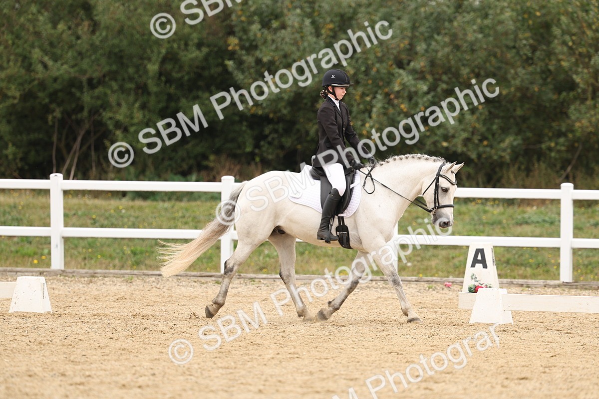 SBM_01073 - Class 8 - Novice 27 Champs
