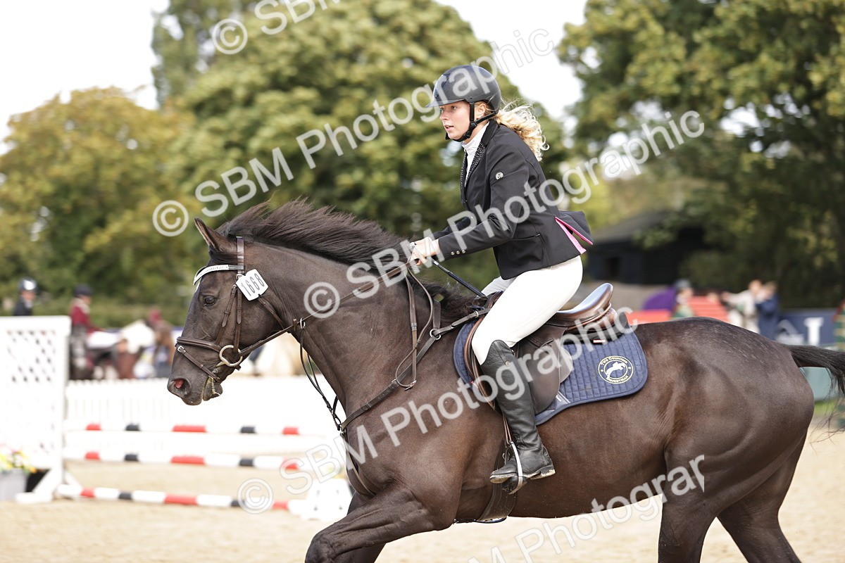 SBM_22287 - J59 - Clear Round 75cm