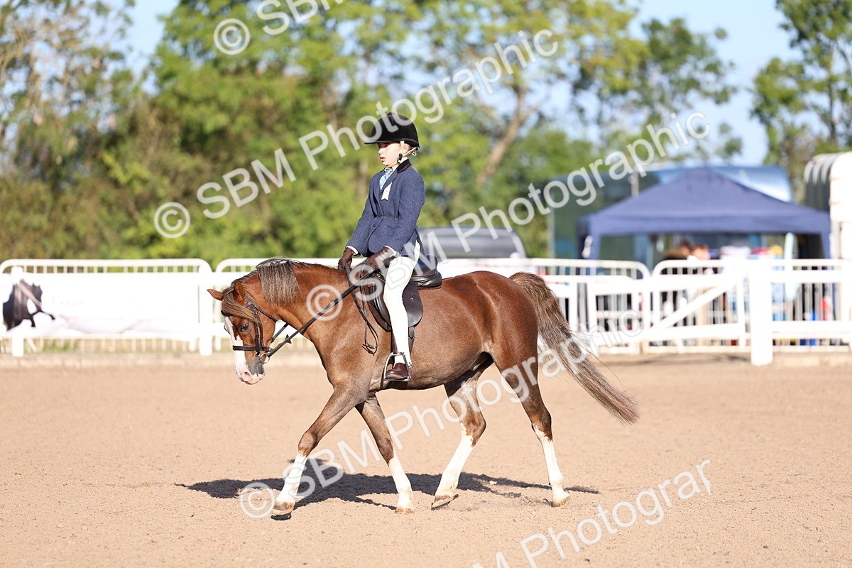 SBM_07809 - Class 301 - Ridden M&M - Small Breeds