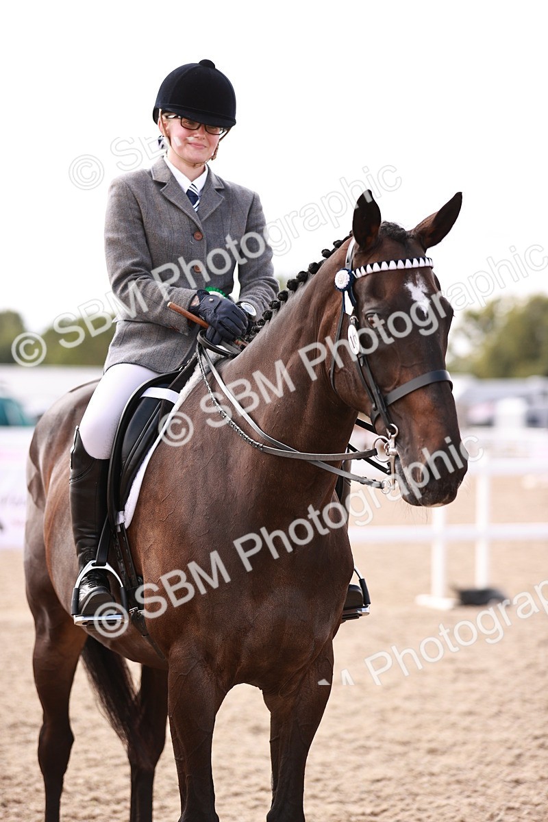 SBM_14493 - Class 410 - Grassroots Ridden - Horse