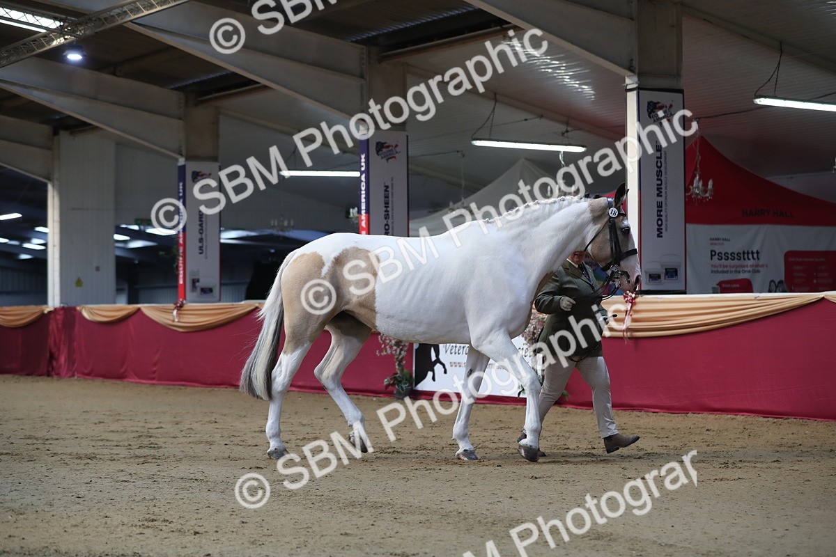 SBM_01416 - Class 3a Area IH Pre Vet
